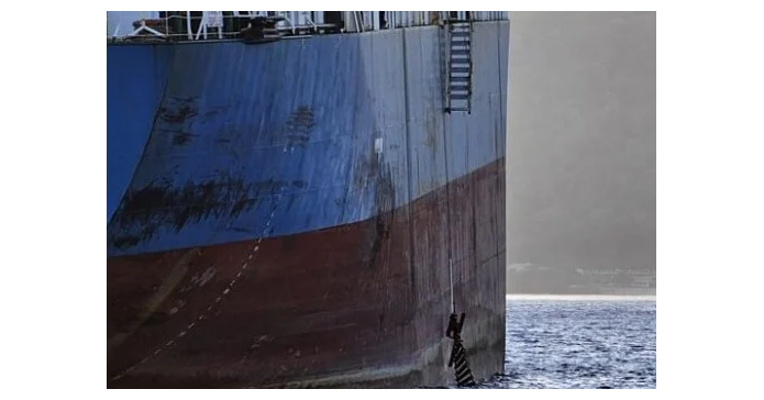 Master and Shipping Company Convicted Over Pilot Ladder Failure ...