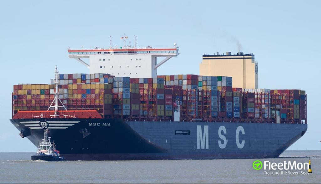 Container vessel MSC MIA took down crane in Valencia, Spain