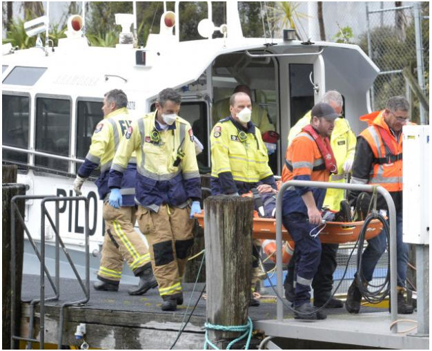 Deckhand injured after falling on pilot boat (New Zealand)