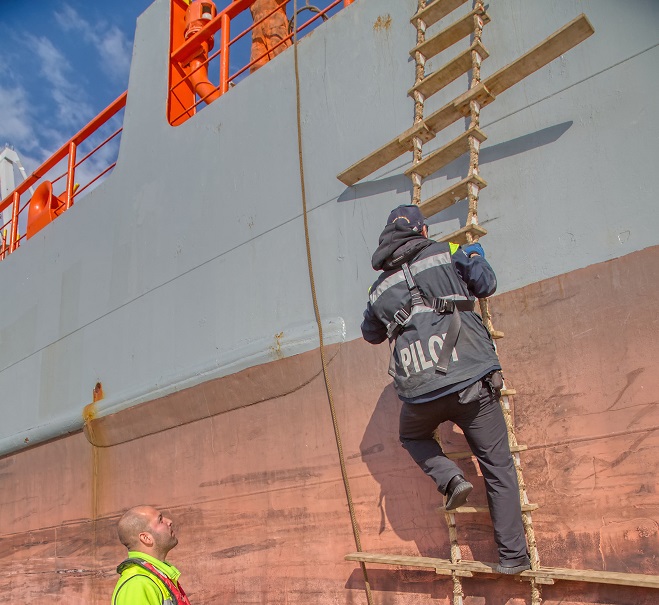 Marking, Certification of Pilot Ladders